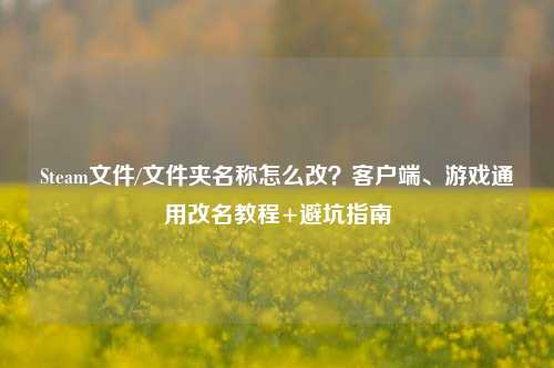 Steam文件/文件夹名称怎么改?客户端、游戏通用改名教程+避坑指南