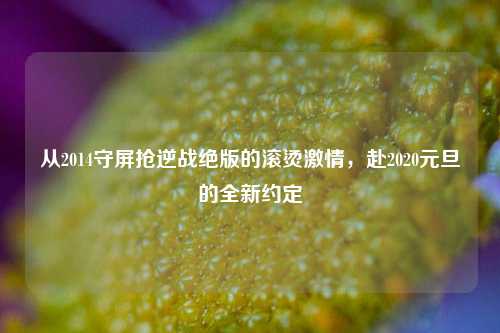 从2014守屏抢逆战绝版的滚烫激情，赴2020元旦的全新约定