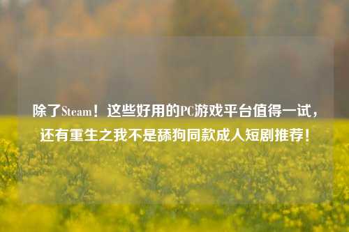 除了Steam！这些好用的PC游戏平台值得一试，还有重生之我不是舔狗同款成人短剧推荐！