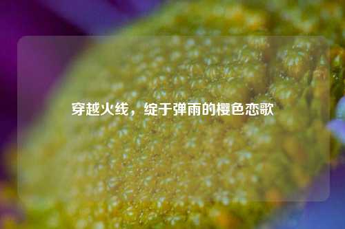 穿越火线，绽于弹雨的樱色恋歌