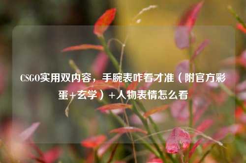 CSGO实用双内容,手腕表咋看才准(附官方彩蛋+玄学)+人物表情怎么看