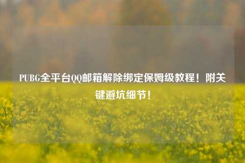 PUBG全平台QQ邮箱解除绑定保姆级教程!附关键避坑细节!
