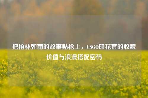 把枪林弹雨的故事贴枪上,CSGO印花套的收藏价值与浪漫搭配密码