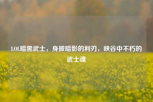 LOL暗黑武士，身披暗影的利刃，峡谷中不朽的武士魂