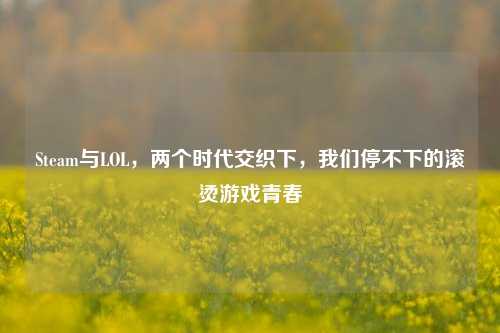 Steam与LOL，两个时代交织下，我们停不下的滚烫游戏青春