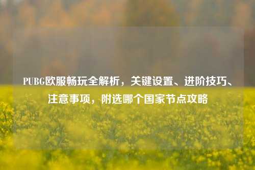 PUBG欧服畅玩全解析,关键设置、进阶技巧、注意事项,附选哪个国家节点攻略