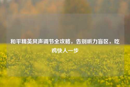 和平精英风声调节全攻略,告别听力盲区,吃鸡快人一步