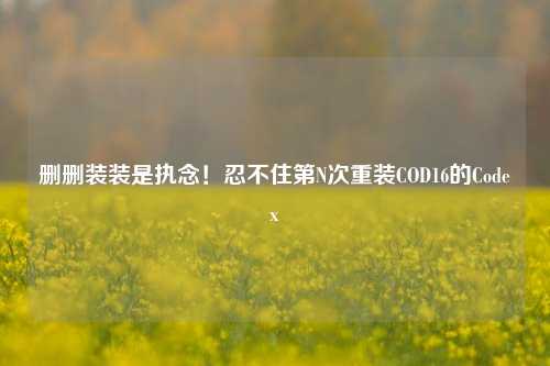 删删装装是执念！忍不住第N次重装COD16的Codex