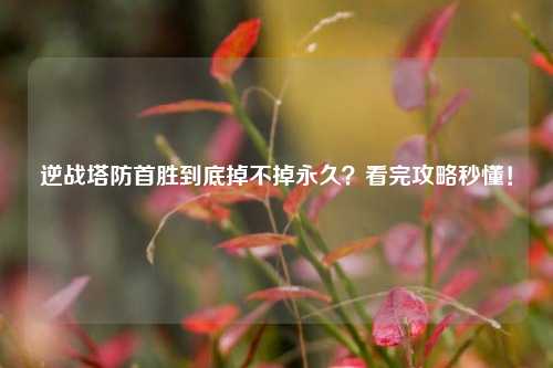 逆战塔防首胜到底掉不掉永久?看完攻略秒懂!