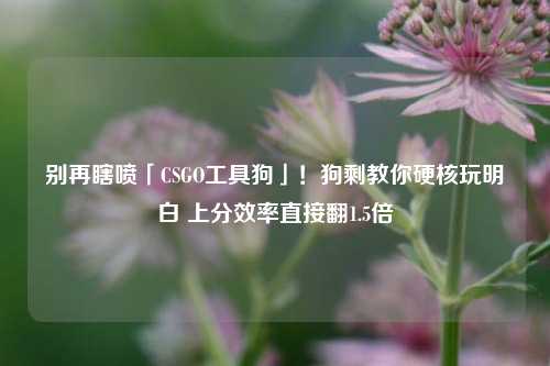别再瞎喷「CSGO工具狗」!狗剩教你硬核玩明白 上分效率直接翻1.5倍