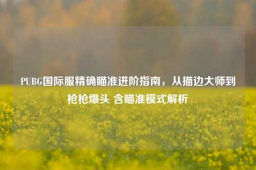 PUBG国际服精确瞄准进阶指南，从描边大师到枪枪爆头 含瞄准模式解析