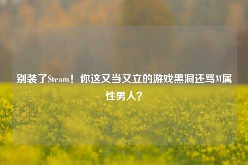 别装了Steam!你这又当又立的游戏黑洞还骂M属性男人?