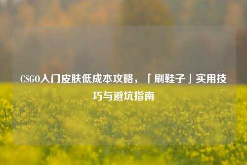 CSGO入门皮肤低成本攻略,「刷鞋子」实用技巧与避坑指南