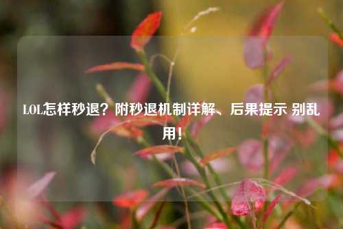 LOL怎样秒退？附秒退机制详解、后果提示 别乱用！