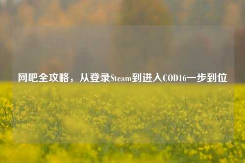 网吧全攻略，从登录Steam到进入COD16一步到位