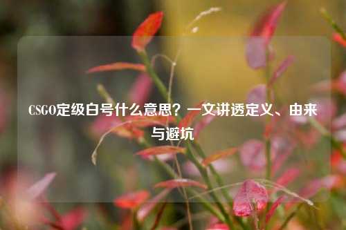 CSGO定级白号什么意思?一文讲透定义、由来与避坑