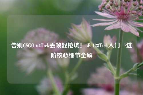 告别CSGO 64Tick丢帧混枪坑！5E 128Tick入门→进阶核心细节全解