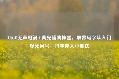 CSGO无声甩锅+高光辅助神器,屏幕写字从入门焊死问号,附字体大小调法