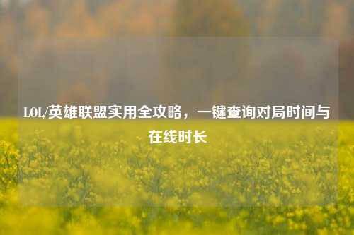 LOL/英雄联盟实用全攻略,一键查询对局时间与在线时长