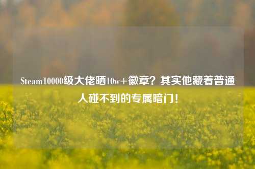 Steam10000级大佬晒10w+徽章？其实他藏着普通人碰不到的专属暗门！
