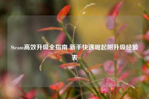 Steam高效升级全指南 新手快速崛起附升级经验表
