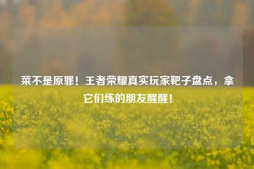 菜不是原罪！王者荣耀真实玩家靶子盘点，拿它们练的朋友醒醒！
