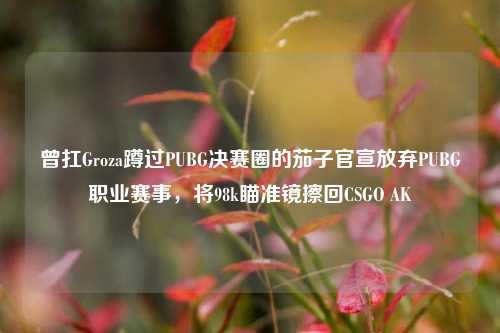 曾扛Groza蹲过PUBG决赛圈的茄子官宣放弃PUBG职业赛事，将98k瞄准镜擦回CSGO AK