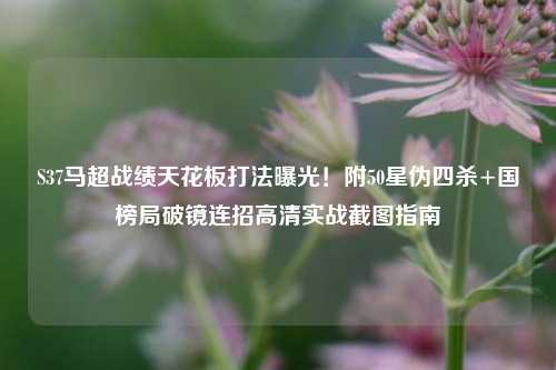 S37马超战绩天花板打法曝光!附50星伪四杀+国榜局破镜连招高清实战截图指南