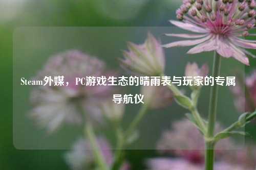 Steam外媒，PC游戏生态的晴雨表与玩家的专属导航仪