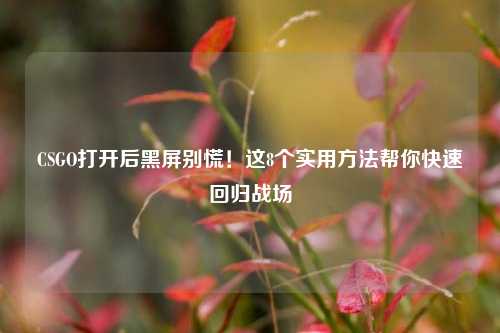 CSGO打开后黑屏别慌！这8个实用方法帮你快速回归战场