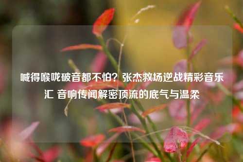 喊得喉咙破音都不怕？张杰救场逆战精彩音乐汇 音响传闻解密顶流的底气与温柔