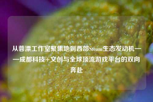从蓉漂工作室聚集地到西部Steam生态发动机——成都科技+文创与全球顶流游戏平台的双向奔赴
