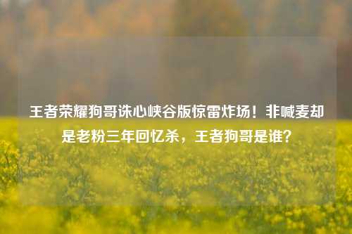王者荣耀狗哥诛心峡谷版惊雷炸场！非喊麦却是老粉三年回忆杀，王者狗哥是谁？