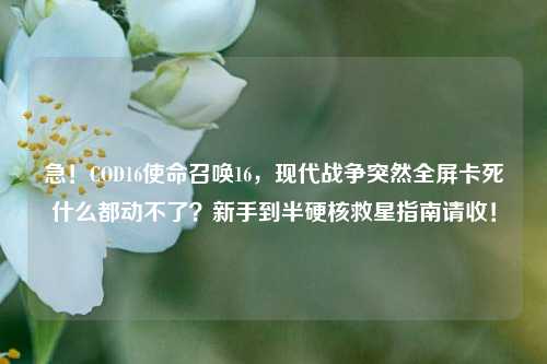 急！COD16使命召唤16，现代战争突然全屏卡死什么都动不了？新手到半硬核救星指南请收！