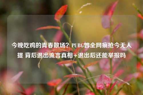 今晚吃鸡的青春散场？PUBG曾全网疯抢今无人提 背后退出流言真相+退出后还能举报吗