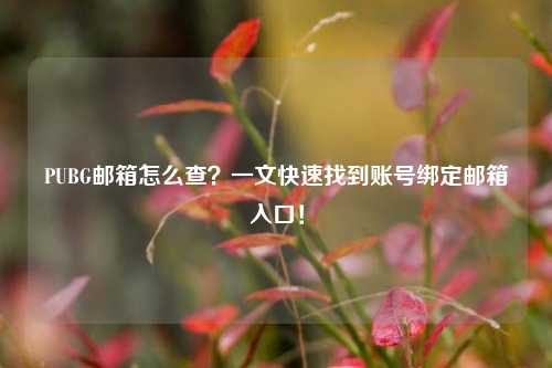PUBG邮箱怎么查？一文快速找到账号绑定邮箱入口！