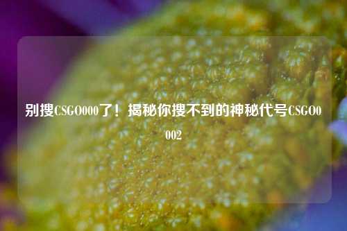 别搜CSGO000了！揭秘你搜不到的神秘代号CSGO0002
