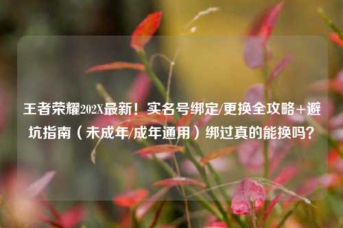 王者荣耀202X最新!实名号绑定/更换全攻略+避坑指南(未成年/成年通用)绑过真的能换吗?