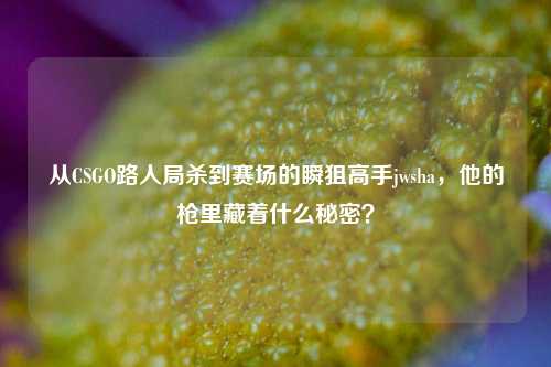 从CSGO路人局杀到赛场的瞬狙高手jwsha,他的枪里藏着什么秘密?