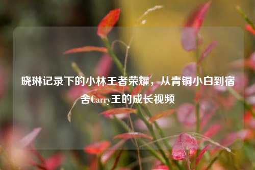 晓琳记录下的小林王者荣耀,从青铜小白到宿舍Carry王的成长视频