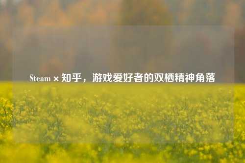 Steam×知乎,游戏爱好者的双栖精神角落