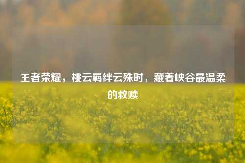 王者荣耀，桃云羁绊云殊时，藏着峡谷最温柔的救赎