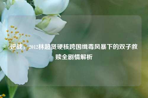逆战，2012林超贤硬核跨国缉毒风暴下的双子救赎全剧情解析