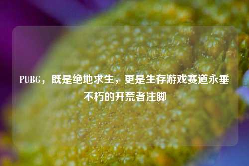 PUBG，既是绝地求生，更是生存游戏赛道永垂不朽的开荒者注脚