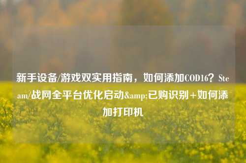 新手设备/游戏双实用指南,如何添加COD16?Steam/战网全平台优化启动&已购识别+如何添加打印机