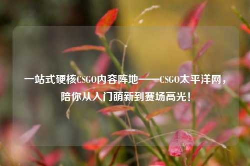 一站式硬核CSGO内容阵地——CSGO太平洋网,陪你从入门萌新到赛场高光!