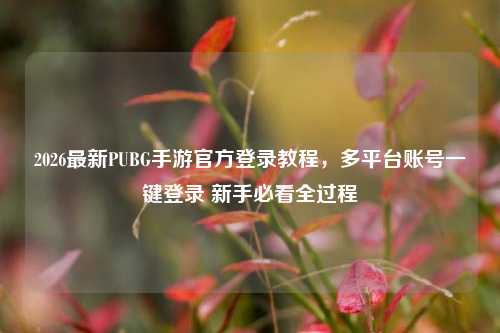 2026最新PUBG手游官方登录教程，多平台账号一键登录 新手必看全过程