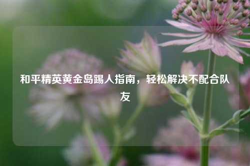 和平精英黄金岛踢人指南,轻松解决不配合队友