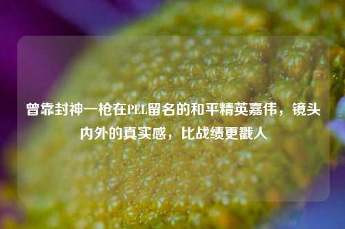 曾靠封神一枪在PEL留名的和平精英嘉伟,镜头内外的真实感,比战绩更戳人