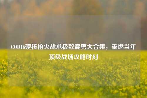 COD16硬核枪火战术极致混剪大合集，重燃当年顶级战场攻略时刻
